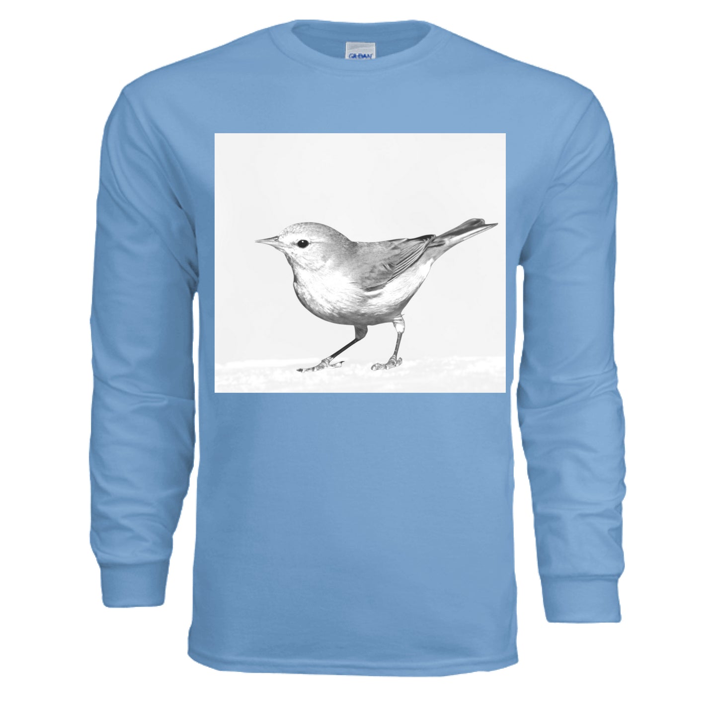 CAROLINA BLUE - FRONT